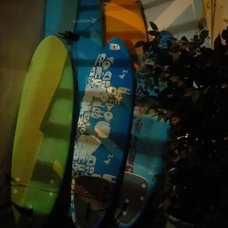 호스텔 Rosa De Vientos